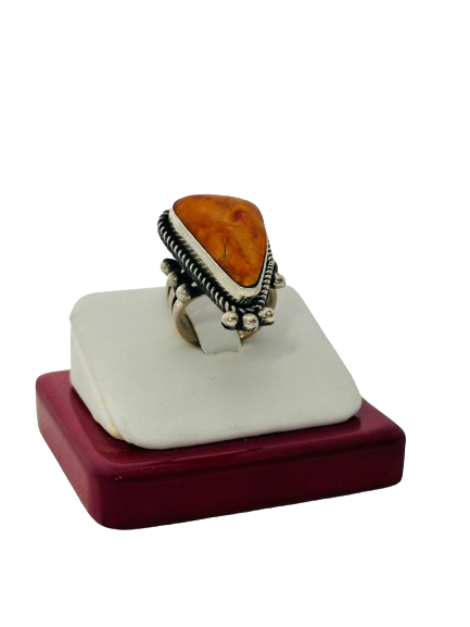 Ring spiny oyster shell 
