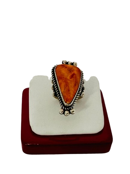 Ring spiny oyster shell 